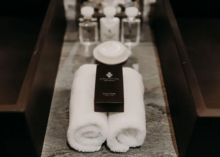 Hotel Le Palais Gallien &